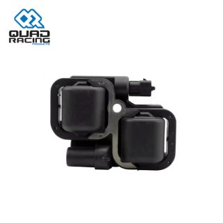 Bobine de Ignição Externa QR Polaris RZR 800 Sportsman 800/850 Scrambler 1000 